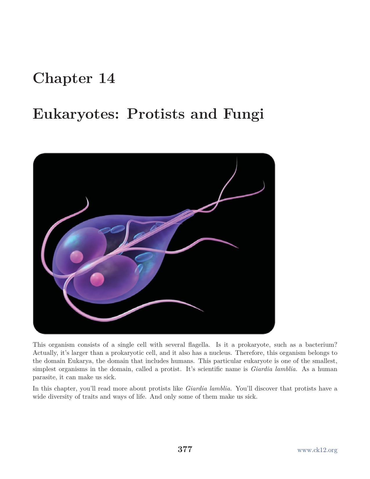 Biology Chapter14